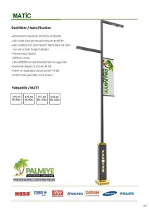 Special Design Lighting Poles